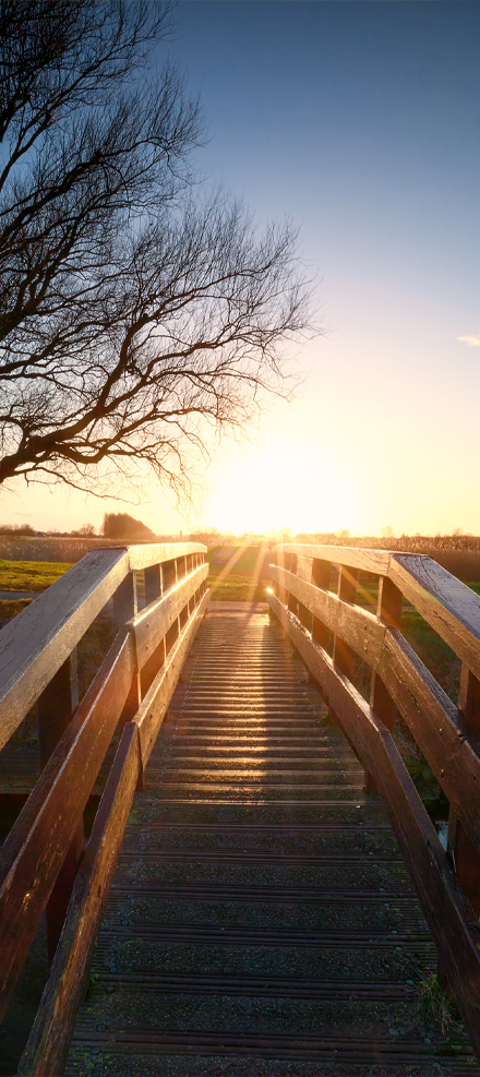 Brücke mit Sonnenuntergang
